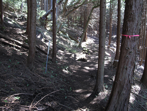 20151014hike (111)
